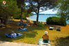 Rovinj Golden Bay view from the pine trees